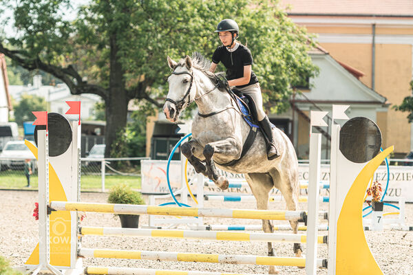 SFT i przyjaciele JUMPING SHOW - ZRiT - WRZESIEŃ 2026 Kozienice