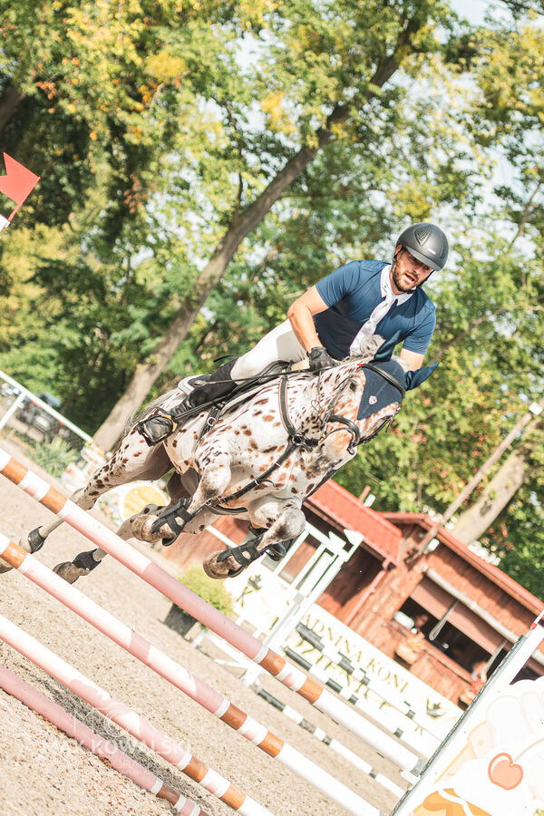 SFT i przyjaciele JUMPING SHOW - ZRiT - WRZESIEŃ 2026 Kozienice