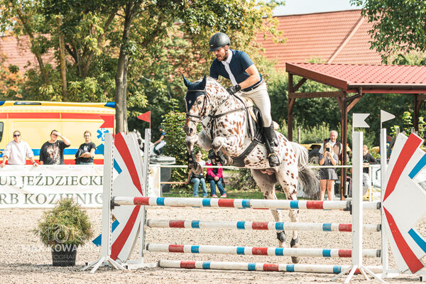 SFT i przyjaciele JUMPING SHOW - ZRiT - WRZESIEŃ 2026 Kozienice