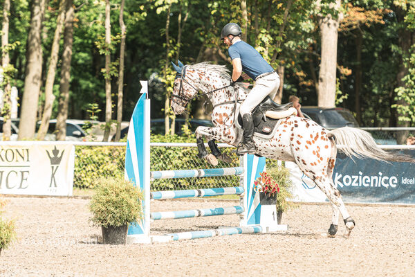 SFT i przyjaciele JUMPING SHOW - ZRiT - WRZESIEŃ 2026 Kozienice