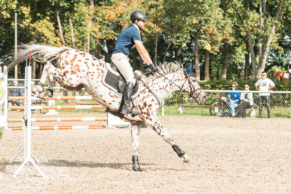 SFT i przyjaciele JUMPING SHOW - ZRiT - WRZESIEŃ 2026 Kozienice