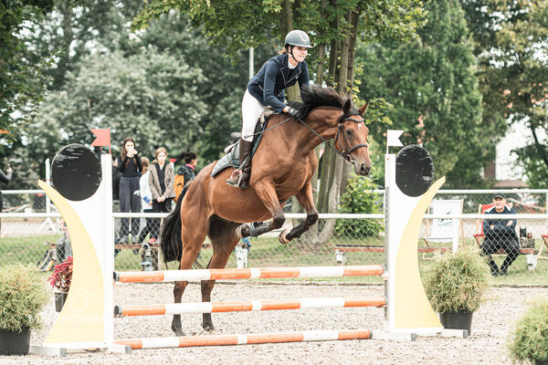 SFT i przyjaciele JUMPING SHOW - ZRiT - WRZESIEŃ 2026 Kozienice