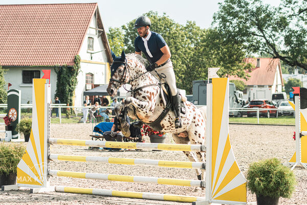 SFT i przyjaciele JUMPING SHOW - ZRiT - WRZESIEŃ 2026 Kozienice