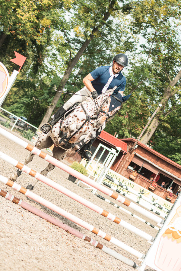 SFT i przyjaciele JUMPING SHOW - ZRiT - WRZESIEŃ 2026 Kozienice
