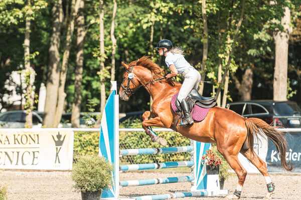 SFT i przyjaciele JUMPING SHOW - ZRiT - WRZESIEŃ 2026 Kozienice