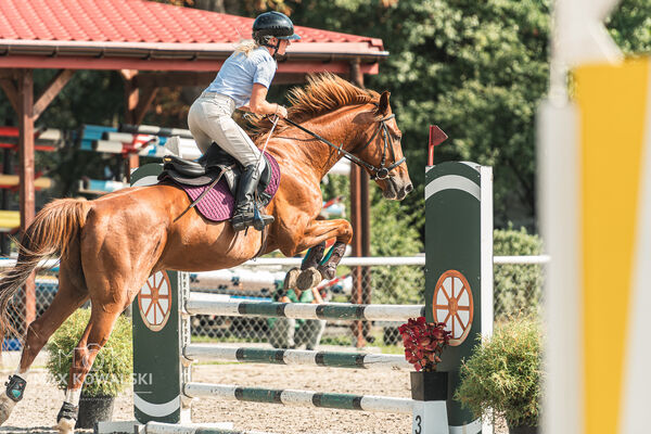 SFT i przyjaciele JUMPING SHOW - ZRiT - WRZESIEŃ 2026 Kozienice