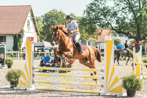 SFT i przyjaciele JUMPING SHOW - ZRiT - WRZESIEŃ 2026 Kozienice