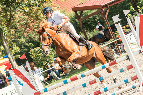 SFT i przyjaciele JUMPING SHOW - ZRiT - WRZESIEŃ 2026 Kozienice