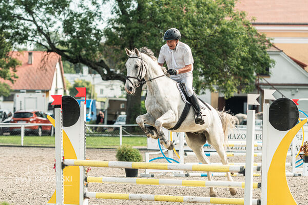 SFT i przyjaciele JUMPING SHOW - ZRiT - WRZESIEŃ 2026 Kozienice