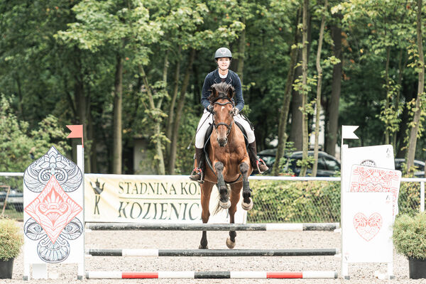 SFT i przyjaciele JUMPING SHOW - ZRiT - WRZESIEŃ 2026 Kozienice