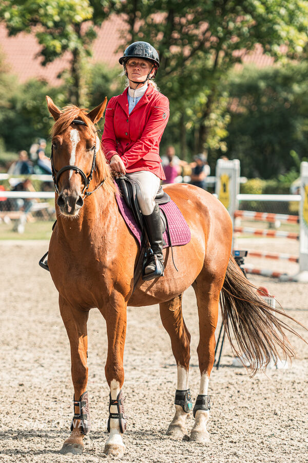 SFT i przyjaciele JUMPING SHOW - ZRiT - WRZESIEŃ 2026 Kozienice