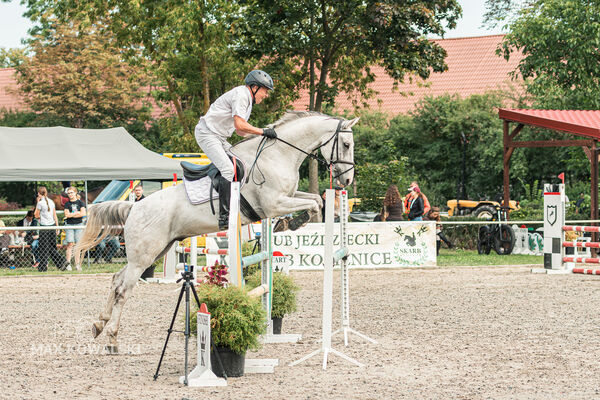 SFT i przyjaciele JUMPING SHOW - ZRiT - WRZESIEŃ 2026 Kozienice