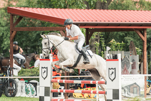 SFT i przyjaciele JUMPING SHOW - ZRiT - WRZESIEŃ 2026 Kozienice
