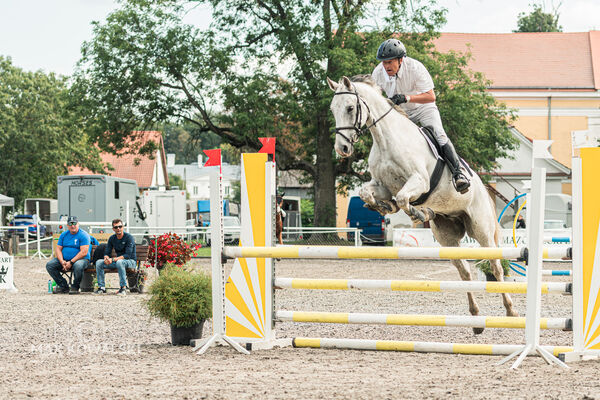 SFT i przyjaciele JUMPING SHOW - ZRiT - WRZESIEŃ 2026 Kozienice