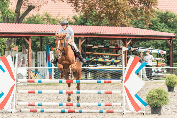 SFT i przyjaciele JUMPING SHOW - ZRiT - WRZESIEŃ 2026 Kozienice