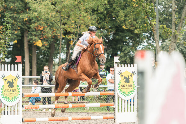 SFT i przyjaciele JUMPING SHOW - ZRiT - WRZESIEŃ 2026 Kozienice
