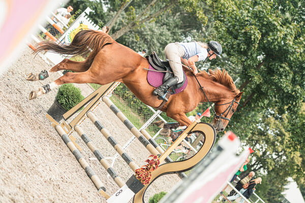 SFT i przyjaciele JUMPING SHOW - ZRiT - WRZESIEŃ 2026 Kozienice