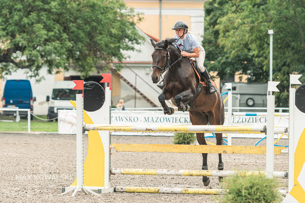 SFT i przyjaciele JUMPING SHOW - ZRiT - WRZESIEŃ 2026 Kozienice
