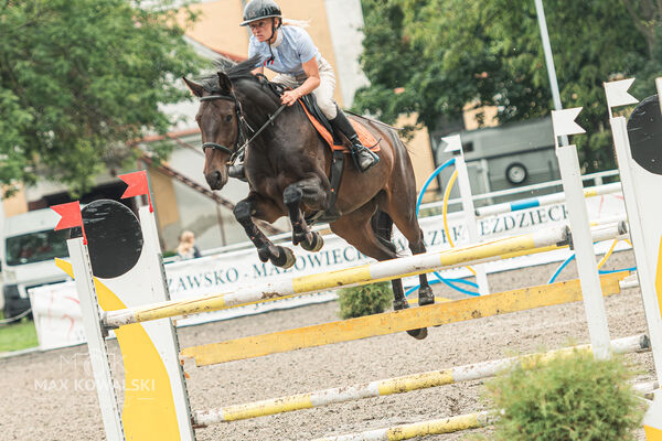 SFT i przyjaciele JUMPING SHOW - ZRiT - WRZESIEŃ 2026 Kozienice