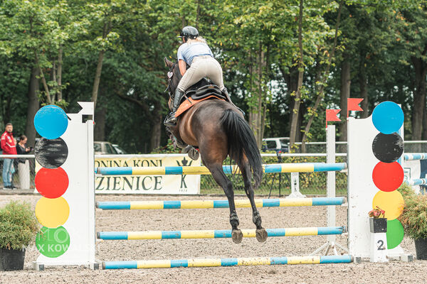 SFT i przyjaciele JUMPING SHOW - ZRiT - WRZESIEŃ 2026 Kozienice