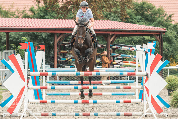 SFT i przyjaciele JUMPING SHOW - ZRiT - WRZESIEŃ 2026 Kozienice