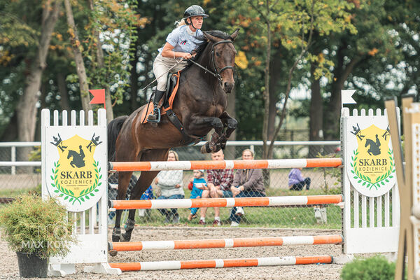 SFT i przyjaciele JUMPING SHOW - ZRiT - WRZESIEŃ 2026 Kozienice