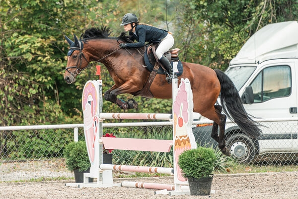 SFT i przyjaciele JUMPING SHOW - ZRiT - WRZESIEŃ 2026 Kozienice