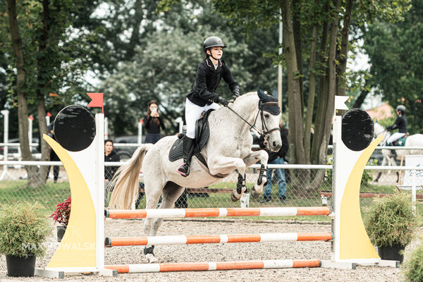 SFT i przyjaciele JUMPING SHOW - ZRiT - WRZESIEŃ 2026 Kozienice