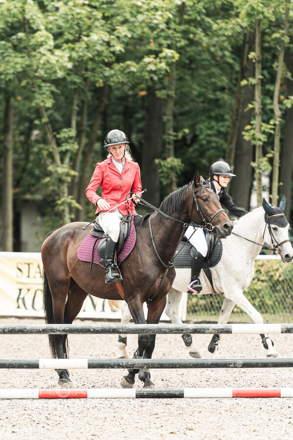 SFT i przyjaciele JUMPING SHOW - ZRiT - WRZESIEŃ 2026 Kozienice