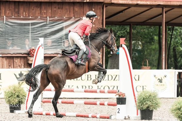 SFT i przyjaciele JUMPING SHOW - ZRiT - WRZESIEŃ 2026 Kozienice
