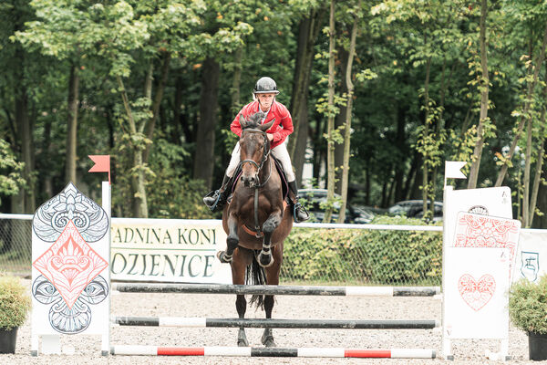 SFT i przyjaciele JUMPING SHOW - ZRiT - WRZESIEŃ 2026 Kozienice