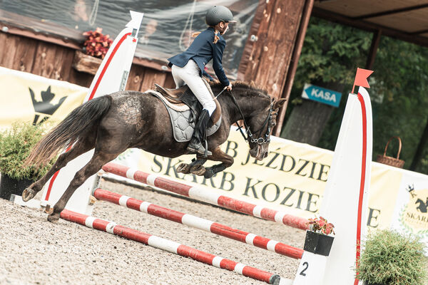 SFT i przyjaciele JUMPING SHOW - ZRiT - WRZESIEŃ 2026 Kozienice