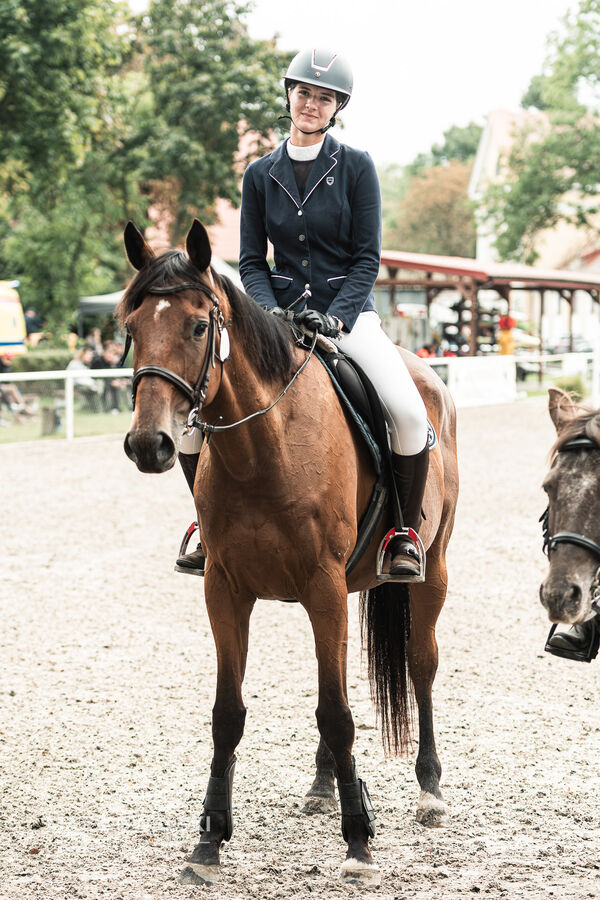 SFT i przyjaciele JUMPING SHOW - ZRiT - WRZESIEŃ 2026 Kozienice