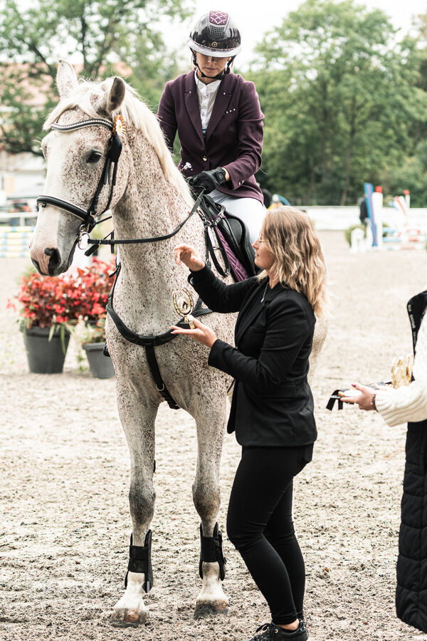 SFT i przyjaciele JUMPING SHOW - ZRiT - WRZESIEŃ 2026 Kozienice