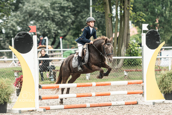 SFT i przyjaciele JUMPING SHOW - ZRiT - WRZESIEŃ 2026 Kozienice