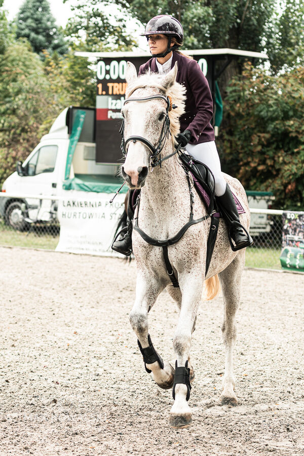SFT i przyjaciele JUMPING SHOW - ZRiT - WRZESIEŃ 2026 Kozienice