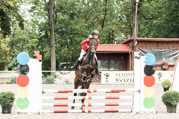 SFT i przyjaciele JUMPING SHOW - ZRiT - WRZESIEŃ 2026 Kozienice