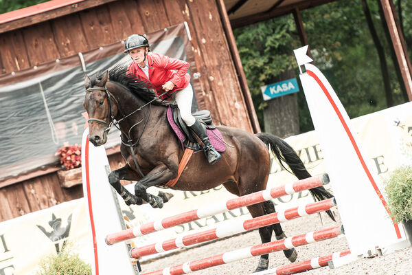 SFT i przyjaciele JUMPING SHOW - ZRiT - WRZESIEŃ 2026 Kozienice