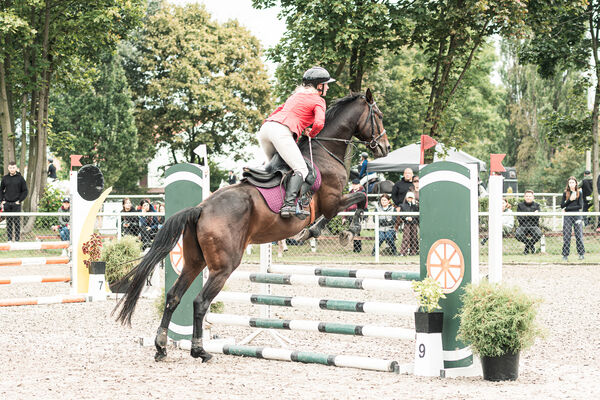 SFT i przyjaciele JUMPING SHOW - ZRiT - WRZESIEŃ 2026 Kozienice
