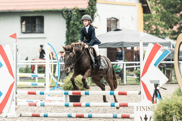 SFT i przyjaciele JUMPING SHOW - ZRiT - WRZESIEŃ 2026 Kozienice