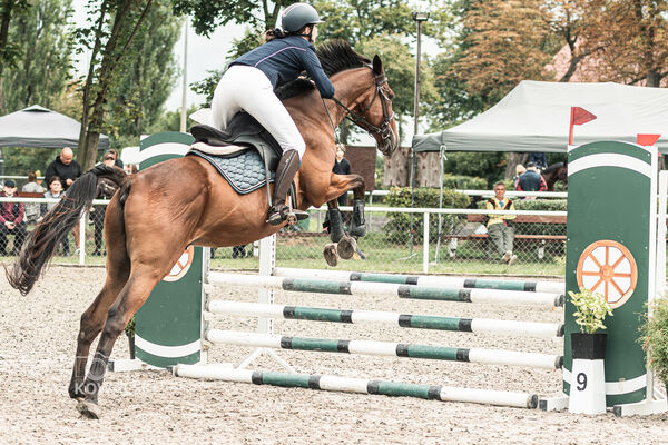 SFT i przyjaciele JUMPING SHOW - ZRiT - WRZESIEŃ 2026 Kozienice