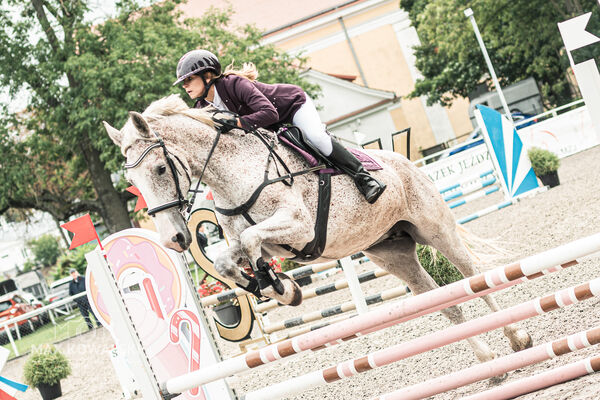 SFT i przyjaciele JUMPING SHOW - ZRiT - WRZESIEŃ 2026 Kozienice