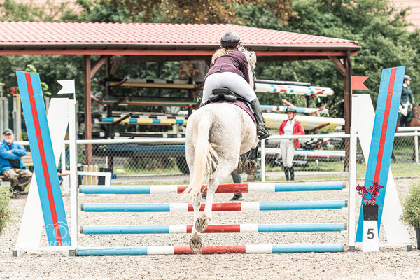 SFT i przyjaciele JUMPING SHOW - ZRiT - WRZESIEŃ 2026 Kozienice
