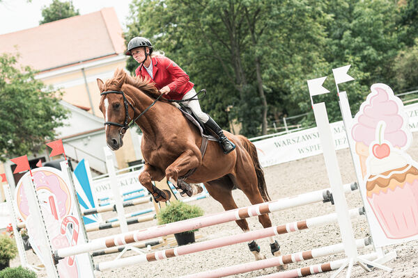 SFT i przyjaciele JUMPING SHOW - ZRiT - WRZESIEŃ 2026 Kozienice
