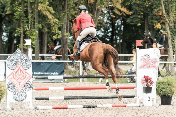 SFT i przyjaciele JUMPING SHOW - ZRiT - WRZESIEŃ 2026 Kozienice
