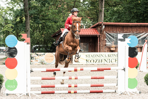 SFT i przyjaciele JUMPING SHOW - ZRiT - WRZESIEŃ 2026 Kozienice