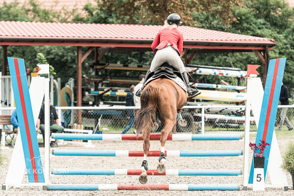 SFT i przyjaciele JUMPING SHOW - ZRiT - WRZESIEŃ 2026 Kozienice