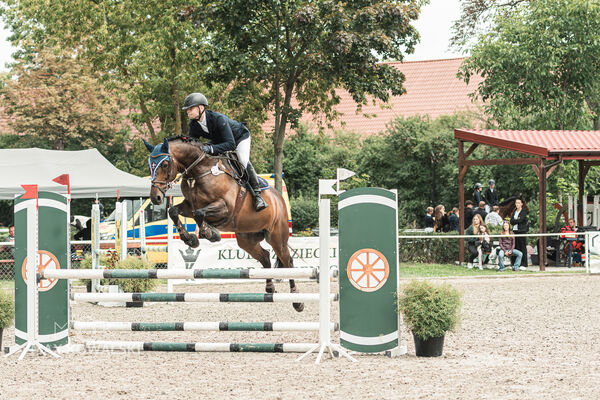 SFT i przyjaciele JUMPING SHOW - ZRiT - WRZESIEŃ 2026 Kozienice