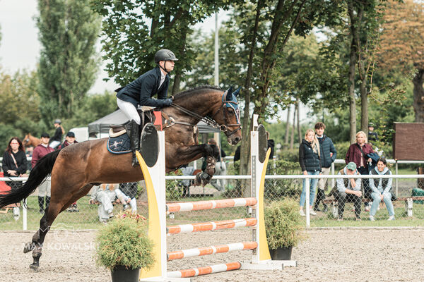 SFT i przyjaciele JUMPING SHOW - ZRiT - WRZESIEŃ 2026 Kozienice
