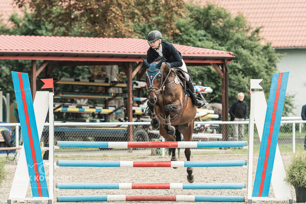 SFT i przyjaciele JUMPING SHOW - ZRiT - WRZESIEŃ 2026 Kozienice